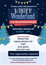 winter wonderland 26