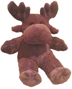 Moose