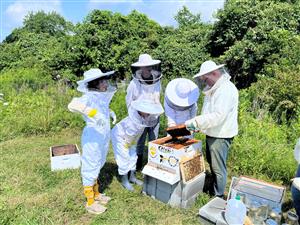 bee club